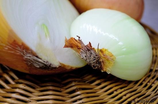 10 Proven Grandma s Remedies to Keep Flies Out of Your Home Naturally