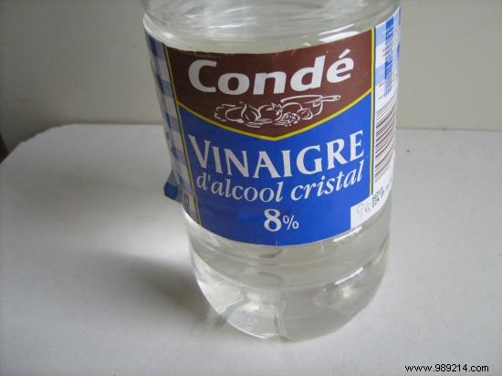 10 Proven Grandma s Remedies to Keep Flies Out of Your Home Naturally