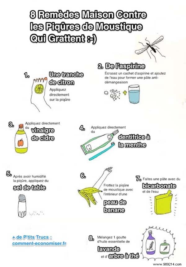 8 Proven Home Remedies for Fast Relief from Itchy Mosquito Bites