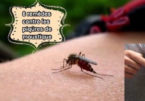 8 Proven Home Remedies for Fast Relief from Itchy Mosquito Bites