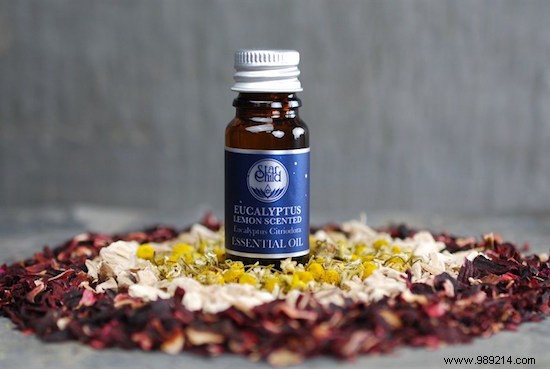 5 Proven Natural Mosquito Repellents That Actually Work