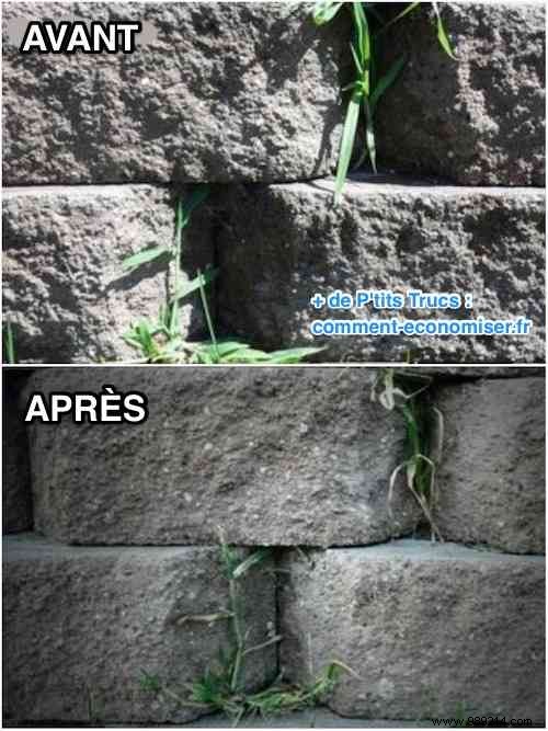 Powerful DIY White Vinegar Weed Killer: Easy Recipe for Effective, Non-Toxic Results