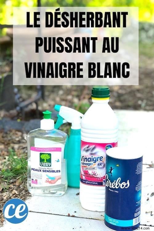 Powerful DIY White Vinegar Weed Killer: Easy Recipe for Effective, Non-Toxic Results