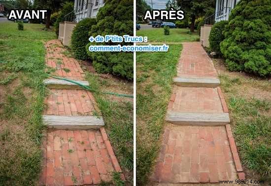 Powerful DIY White Vinegar Weed Killer: Easy Recipe for Effective, Non-Toxic Results