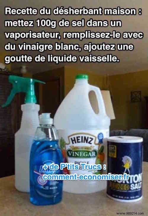 Powerful DIY White Vinegar Weed Killer: Easy Recipe for Effective, Non-Toxic Results
