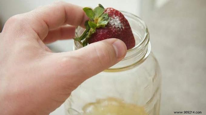 4 Proven Homemade Fly Traps to Eliminate Flies Naturally at Home