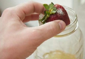 4 Proven Homemade Fly Traps to Eliminate Flies Naturally at Home