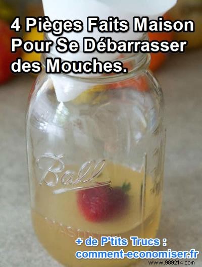 4 Proven Homemade Fly Traps to Eliminate Flies Naturally at Home