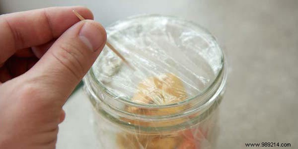 4 Proven Homemade Fly Traps to Eliminate Flies Naturally at Home