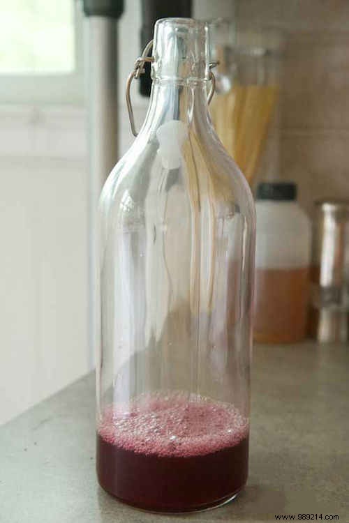 4 Proven Homemade Fly Traps to Eliminate Flies Naturally at Home