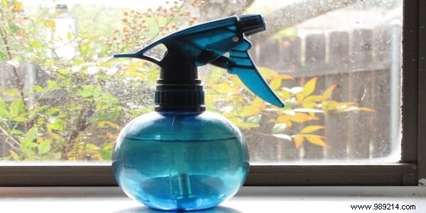 4 Proven Homemade Fly Traps to Eliminate Flies Naturally at Home
