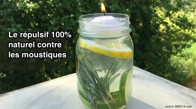 DIY Natural Mosquito Repellent Candle: Safe, Effective Protection Using Lemon Eucalyptus Oil