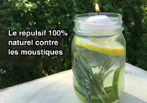 DIY Natural Mosquito Repellent Candle: Safe, Effective Protection Using Lemon Eucalyptus Oil