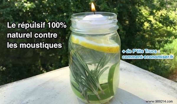 DIY Natural Mosquito Repellent Candle: Safe, Effective Protection Using Lemon Eucalyptus Oil