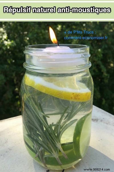 DIY Natural Mosquito Repellent Candle: Safe, Effective Protection Using Lemon Eucalyptus Oil