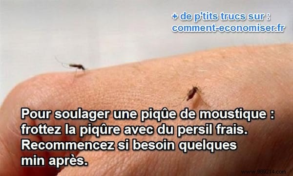 Soothe Mosquito Bites Fast: The Proven Parsley Remedy