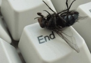 Natural Fly Repellent: Banish Pesky Flies with Cloves and an Apple