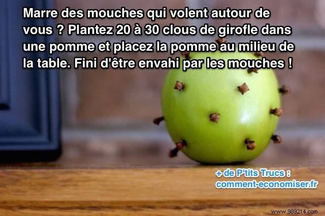 Natural Fly Repellent: Banish Pesky Flies with Cloves and an Apple