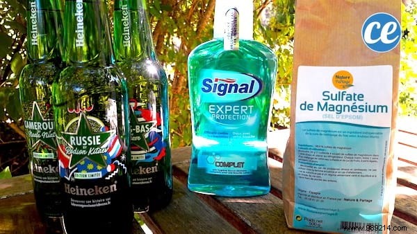 Proven Homemade Mosquito Repellent Spray: Enjoy Bite-Free Garden Evenings