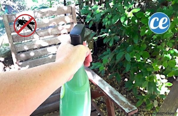 Proven Homemade Mosquito Repellent Spray: Enjoy Bite-Free Garden Evenings