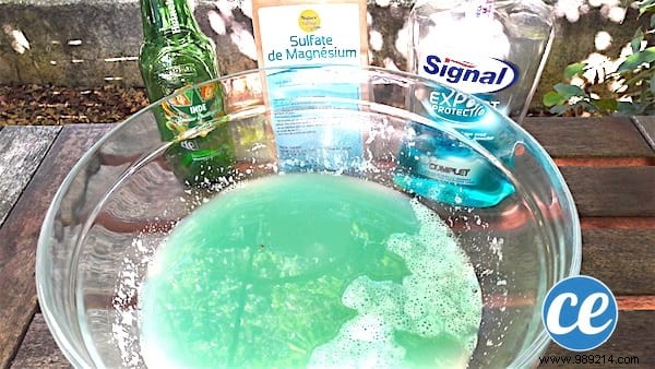 Proven Homemade Mosquito Repellent Spray: Enjoy Bite-Free Garden Evenings