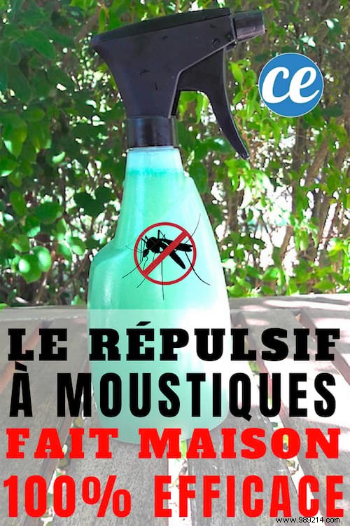 Proven Homemade Mosquito Repellent Spray: Enjoy Bite-Free Garden Evenings
