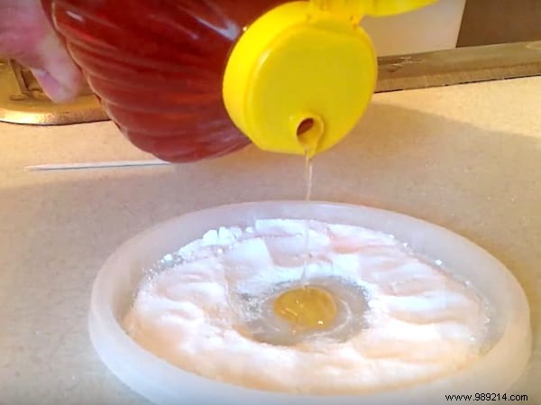 Eliminate Ants Naturally: Proven Baking Soda and Honey Trap