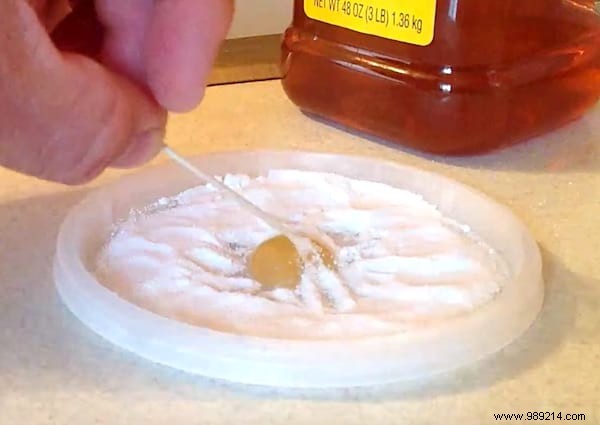 Eliminate Ants Naturally: Proven Baking Soda and Honey Trap