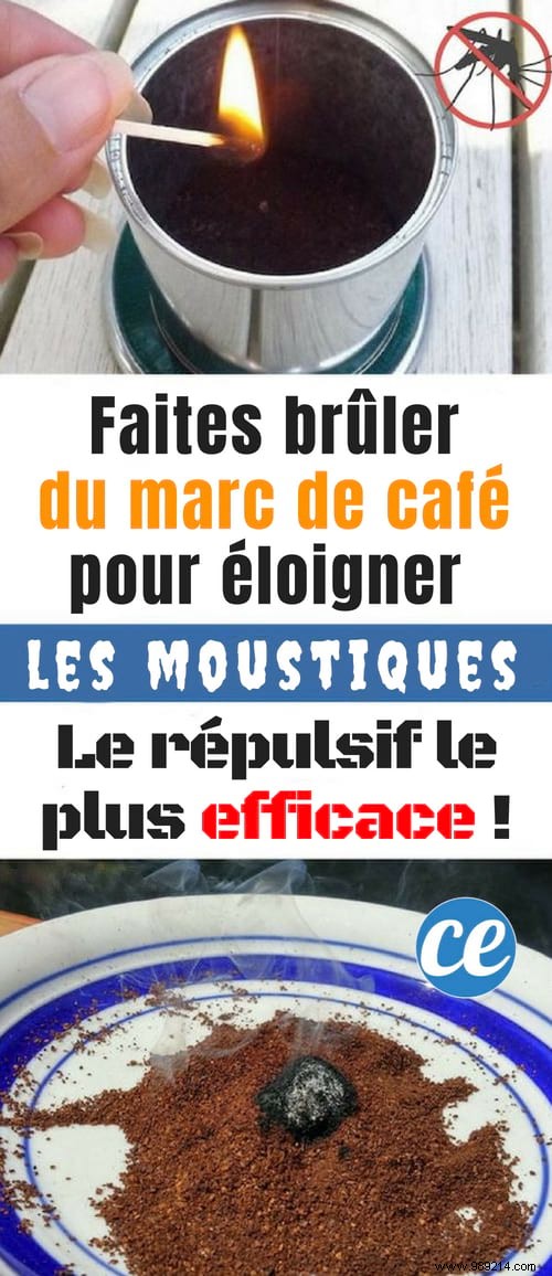 Repel Mosquitoes Naturally: Burn Coffee Grounds for Outdoor Protection