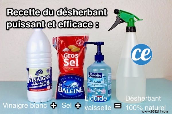 How to Eliminate Driveway Weeds Naturally and Prevent Regrowth: My Proven 3-Step Method