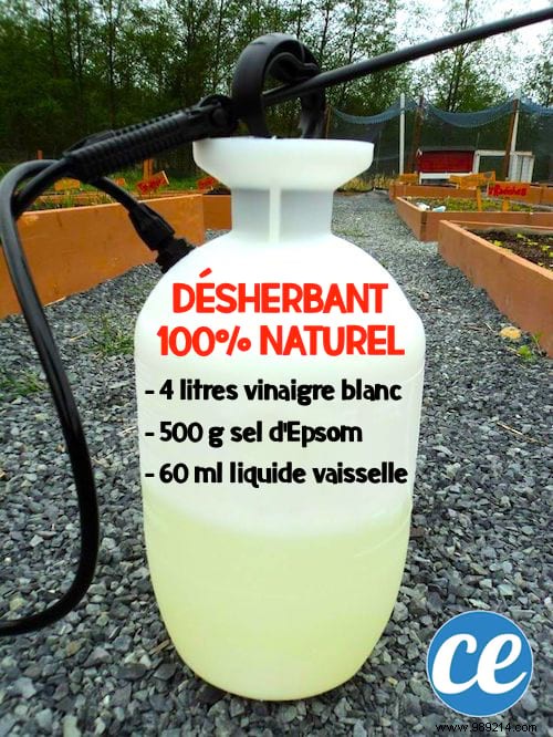 How to Eliminate Driveway Weeds Naturally and Prevent Regrowth: My Proven 3-Step Method