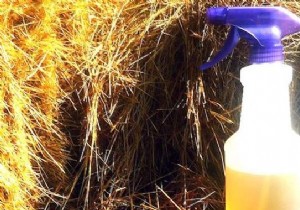 DIY Natural Fly Repellent: Simple, Effective Kitchen Recipe