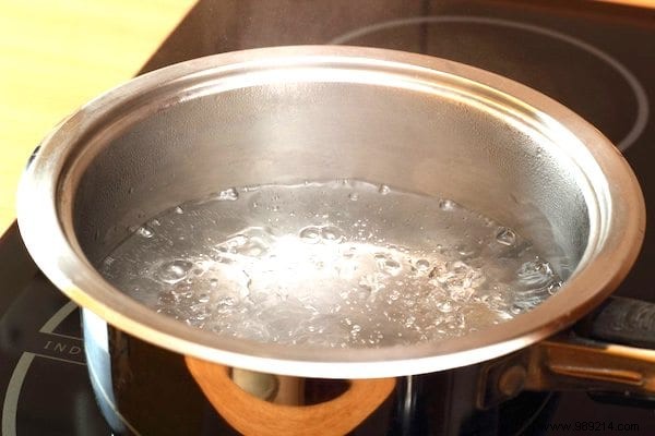 DIY Natural Fly Repellent: Simple, Effective Kitchen Recipe