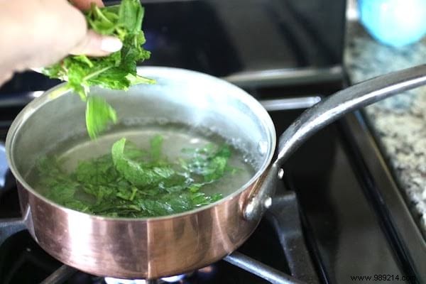 DIY Natural Fly Repellent: Simple, Effective Kitchen Recipe