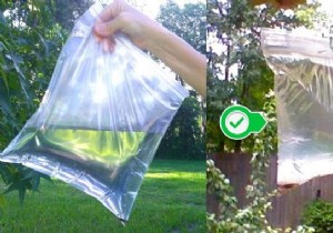 Proven Natural Fly Repellent: Farmer-Tested Water Bag Trick with Yellow Coins