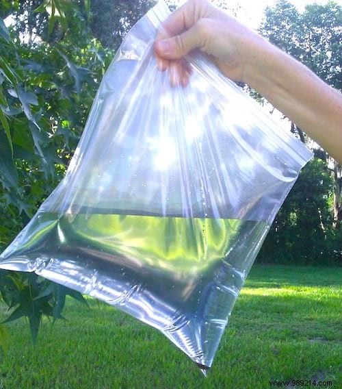 Proven Natural Fly Repellent: Farmer-Tested Water Bag Trick with Yellow Coins