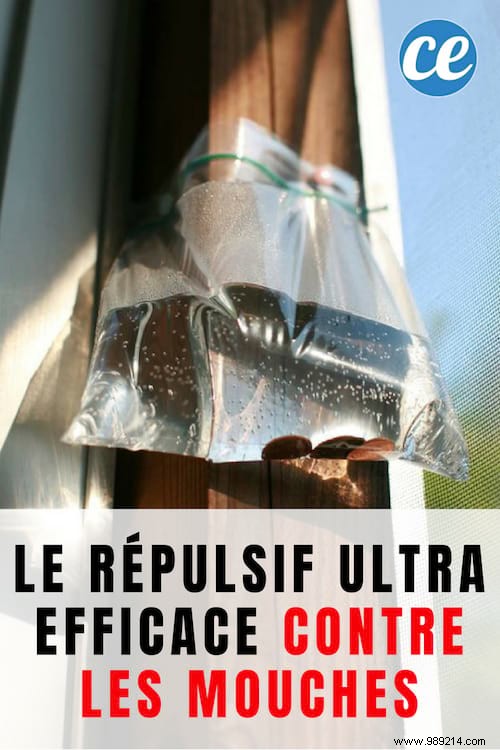 Proven Natural Fly Repellent: Farmer-Tested Water Bag Trick with Yellow Coins