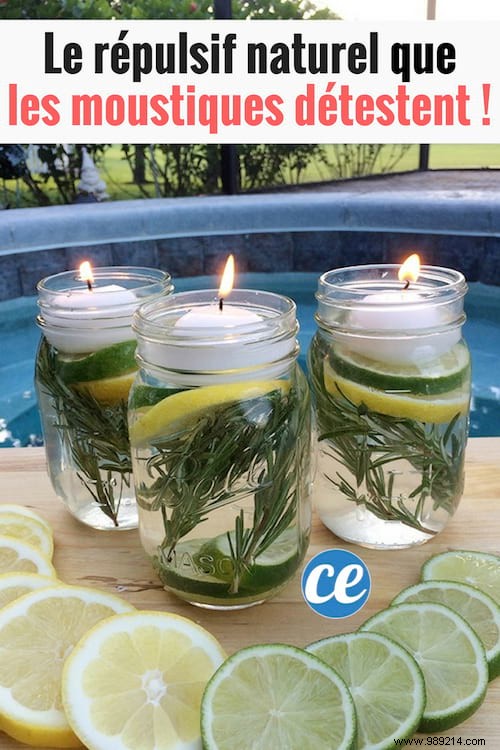 DIY Natural Mosquito Repellent Candles: 100% Chemical-Free and Highly Effective