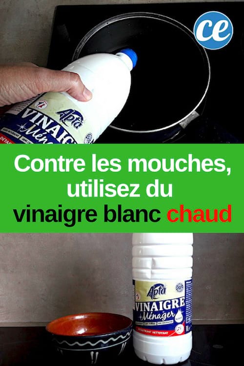 Repel Flies Naturally with Hot White Vinegar: A Proven, Safe Home Remedy