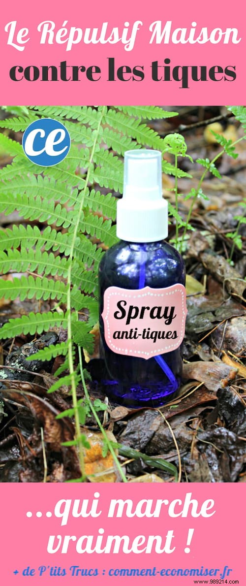 Proven Natural Tick Repellent: Homemade Spray with Rose Geranium Essential Oil