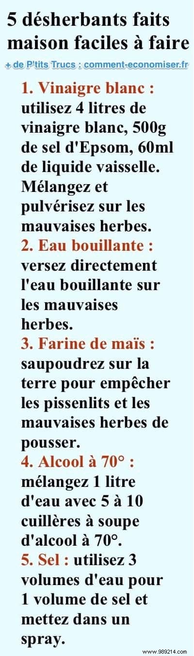 5 Proven Homemade Weed Killers: Safe, Natural Solutions for Your Garden