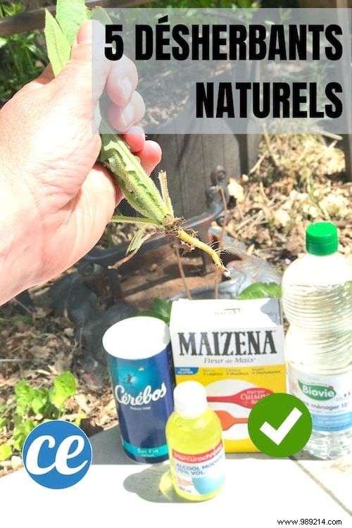 5 Proven Homemade Weed Killers: Safe, Natural Solutions for Your Garden