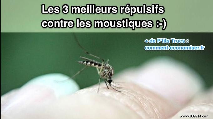 Top 3 Proven Natural Mosquito Repellents: Simple Grandma s Remedies