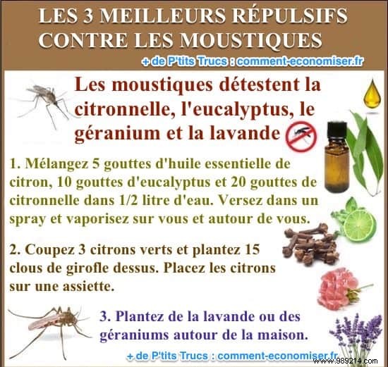 Top 3 Proven Natural Mosquito Repellents: Simple Grandma s Remedies