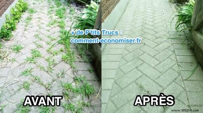 Ditch Roundup: This Proven 100% Natural Weed Killer Recipe Works Just as Well