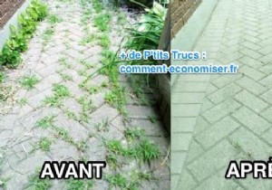 Ditch Roundup: This Proven 100% Natural Weed Killer Recipe Works Just as Well