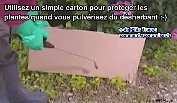 Ditch Roundup: This Proven 100% Natural Weed Killer Recipe Works Just as Well