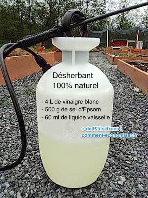 Ditch Roundup: This Proven 100% Natural Weed Killer Recipe Works Just as Well