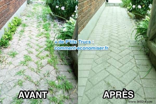 Ditch Roundup: This Proven 100% Natural Weed Killer Recipe Works Just as Well