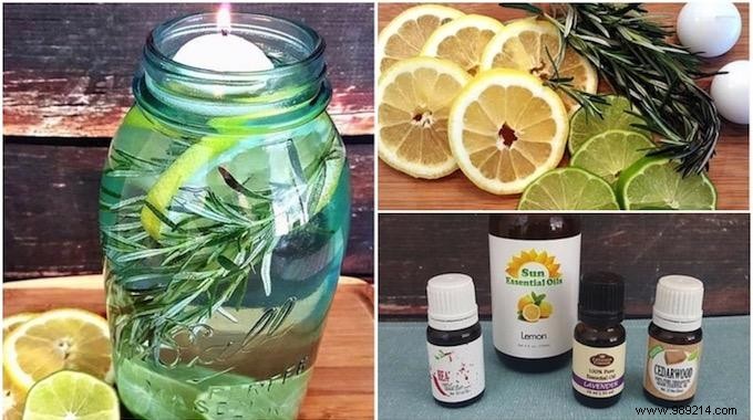 Proven Natural Mosquito Repellent: Grandma s Recipe for a Bite-Free Summer